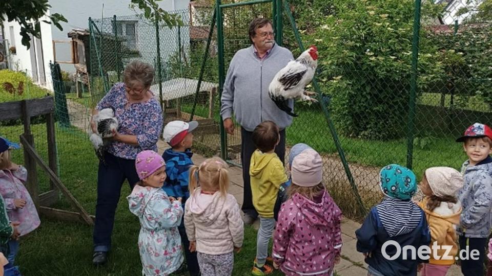 Die Kindergartenkinder besuchten die Hühnerzucht in Neusorg. Bild: Daniela Burger/exb
