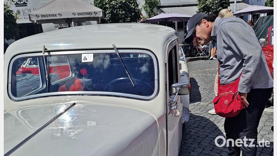 Neugieriger Blick ins Innere. Bild: R. Kreuzer