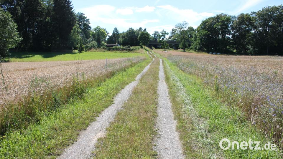 Nicht alle bei Spaziergängern beliebten Wege westlich Pressaths sind mit Ruhebänken bestückt. Aus den Mitteln des Bürgerhaushalt-Etats will die Stadt Pressath dies auf Vorschlag eines Einwohners ändern. Bild: bjp