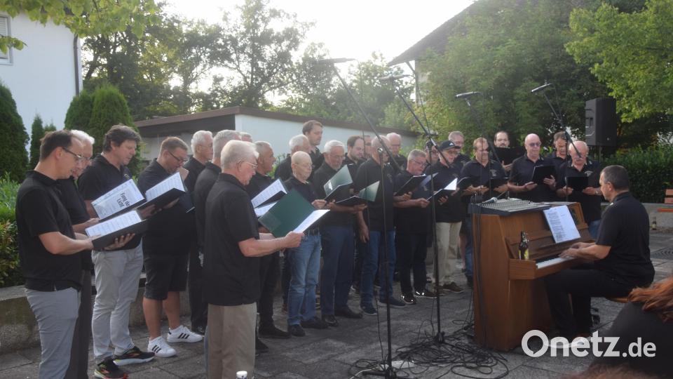 Vielstimmig singt der Männergesangverein &quot;Frohsinn&quot; mit Chorleiter Wolfgang Ziegler am Klavier. Bild: fz