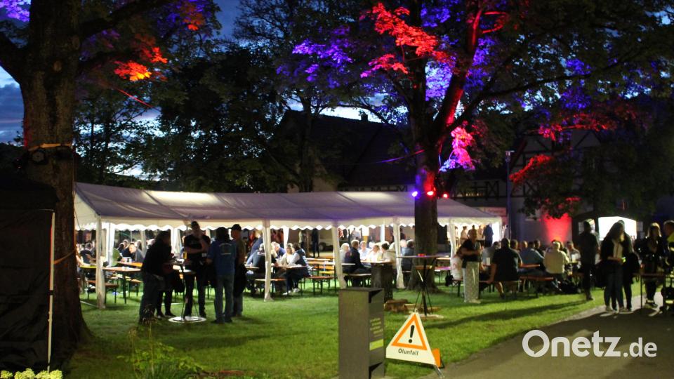 Bunt beleuchtete Bäume gaben der Festatmosphäre im Professor-Dietl-Park einen besonderen Akzent. Bild: bjp