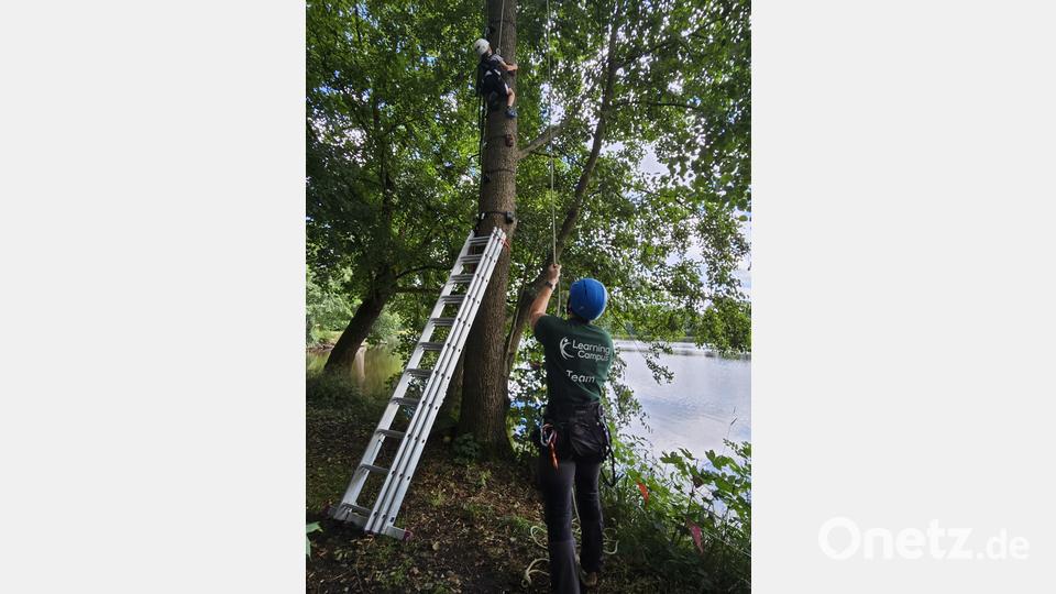 Vom Baumklettern bekommt man nicht nur starke Arme sondern auch einen wunderbaren Ausblick über den Mühlweiher. Bild: LearningCampus