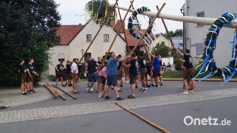 Mit Schwalben wird der Baum hoch gehievt Bild: slh