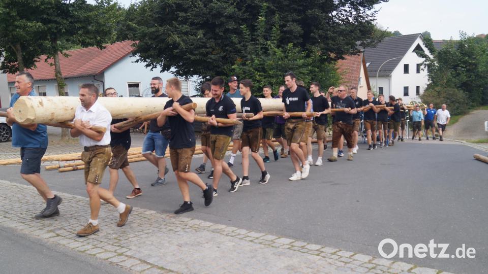 Der 30 Meter lange Baum wird zum Dorfplatz getragen. Bild: slh