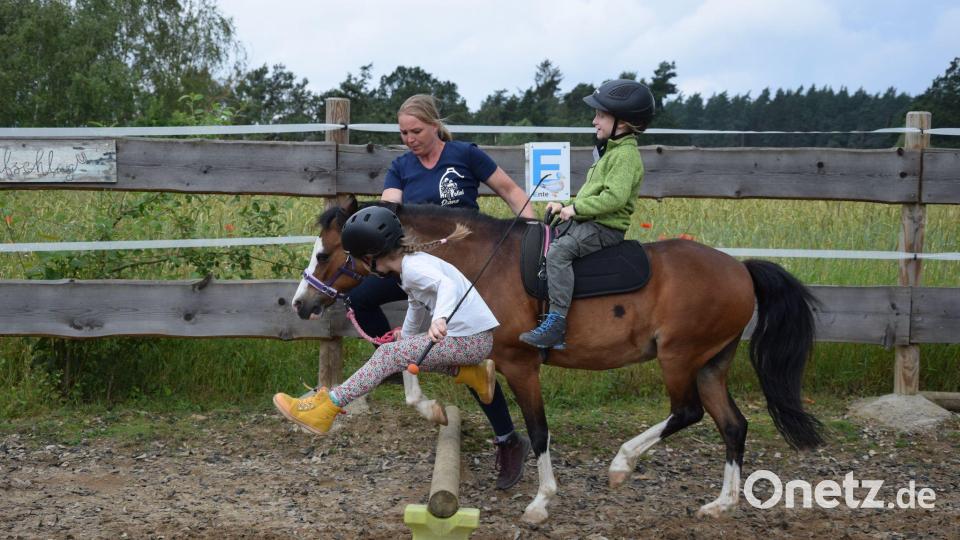 Viel Freude bereitete Kindern der Montessori-Schule Arzberg ein Hippolini-Projekt in Hundsbach. Bild: exb
