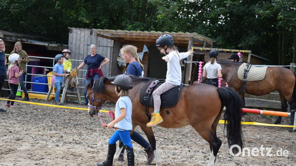 Viel Freude bereitete Kindern der Montessori-Schule Arzberg ein Hippolini-Projekt in Hundsbach. Bild: exb