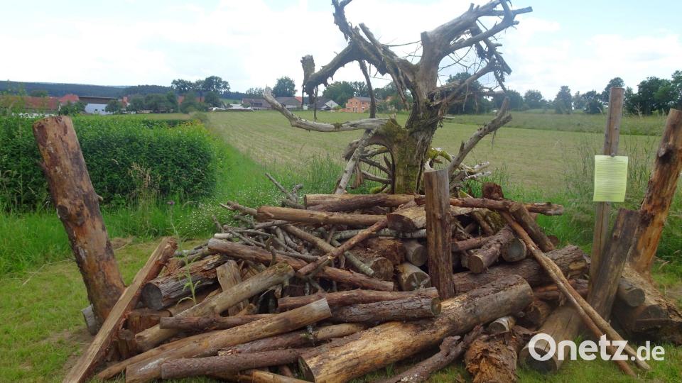 Ein Blick nach Ehenfeld: Dort bietet dieser Totholzhaufen auf einer Streuobstwiese Lebensräume. Bild: Michaela Basler