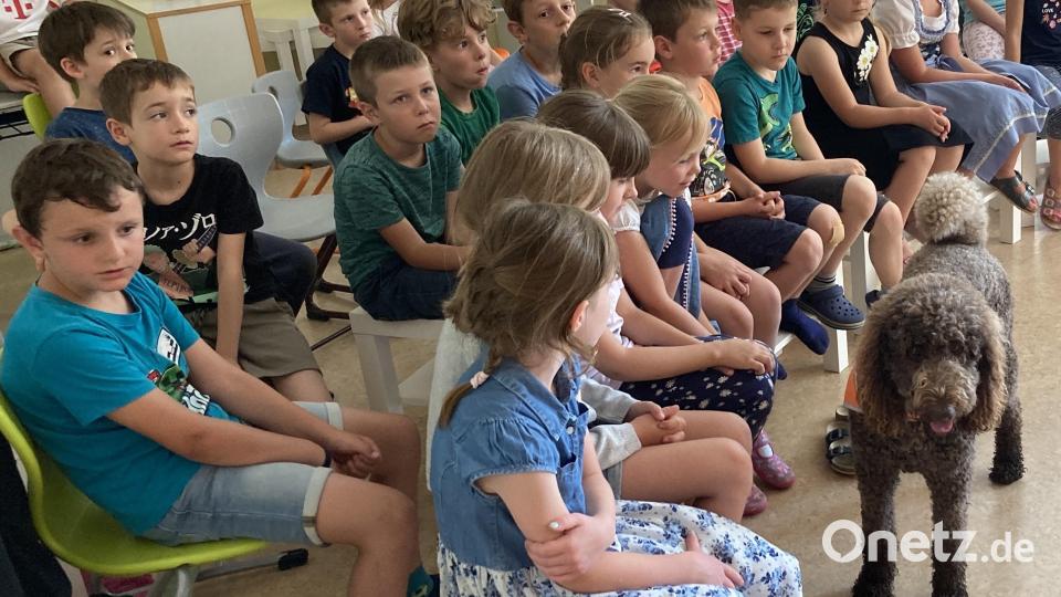 Lauras Assitenzhündin Wilma weckte großes Interesse bei den Schülern. Bild: no