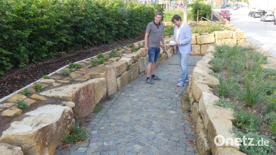 Am „Schubkarrenweg“ besprachen Wolfgang Haberberger und Daniel Färber Nachpflanzungen an der Natursteinmauer. Bild: rn