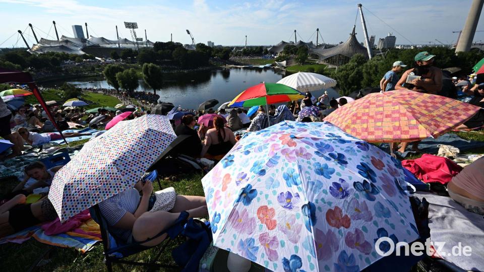 Mit Schirmen versuchten viele Fans, sich vor der Sonne zu schützen. Bild: Felix Hörhager/dpa