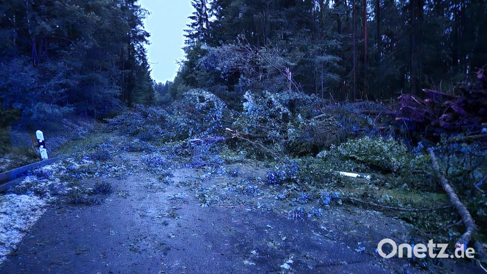 Unwetter mit Hagel und Sturm sind übe den Landkreis Cham gezogen. Bild: Kreisbrandinspektion Cham