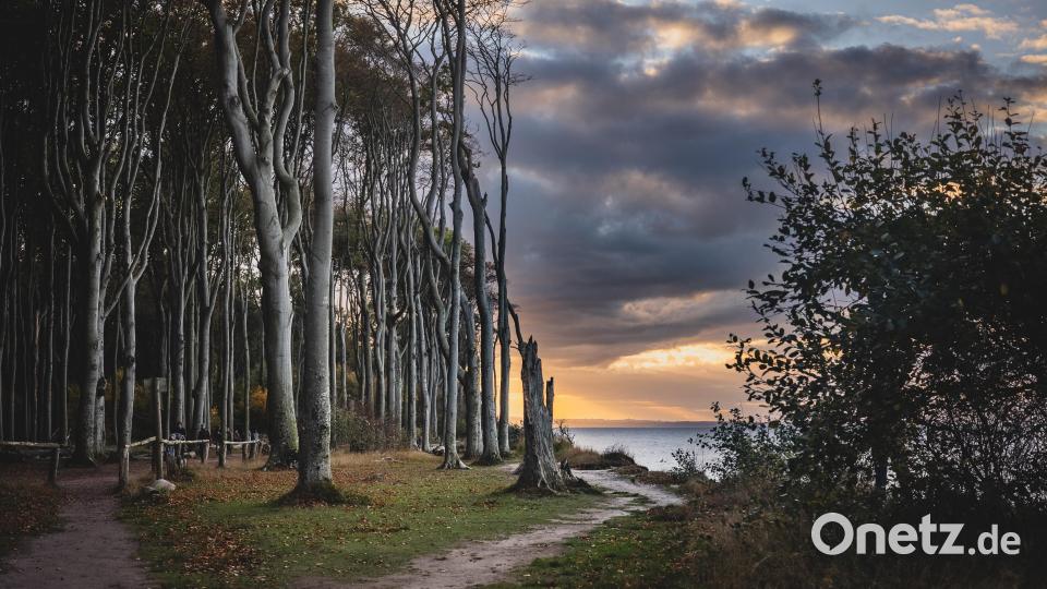 Einer der problematischsten Aspekte des &quot;Overtourism&quot;: viele der beliebten Ziele liegen in geschützten Bereichen und die dortige Natur ist oft sehr empfindlich. Auch der &quot;Gespensterwald&quot; ist ein geschütztes Stück Natur. Bild: Peter Müller