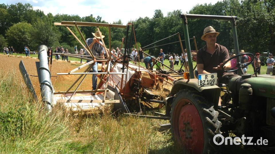 Getreideernte mit einem historischen Bindemäher: Zu sehen beim Tag der alten Landtechnik im Oberpfälzer Freilandmuseum. Bild: Hirsch