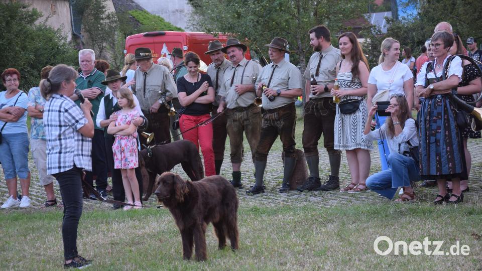 Beim Konzert der Jagdhornbläser war auch zu einer Jagdhundevorstellung mit Ute Ehebauer eingeladen gewesen. Bild: bö