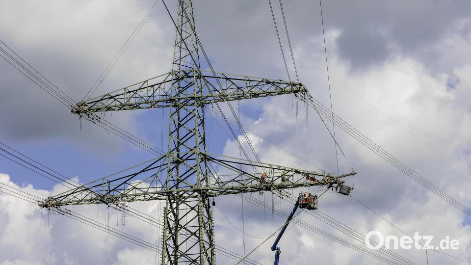 Bei Schwarzenfeld tragen neuen Masten des Ostbayernrings zwei 380-Kilovolt-Systeme. Archivbild: Hösamer