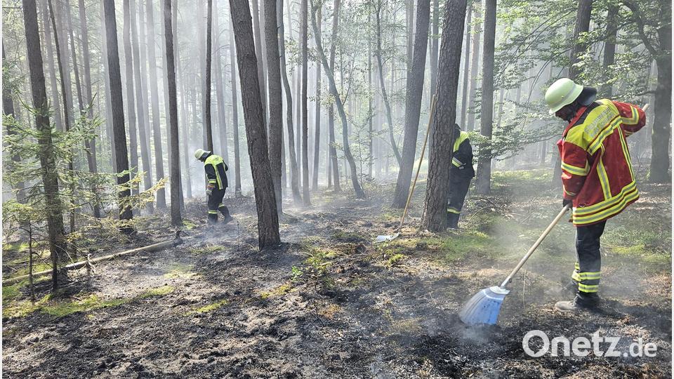 Die Feuerwehrleute versuchen zunächst den Brand mit Feuerpatschen in den Griff zu bekommen. Bild: Grabinger