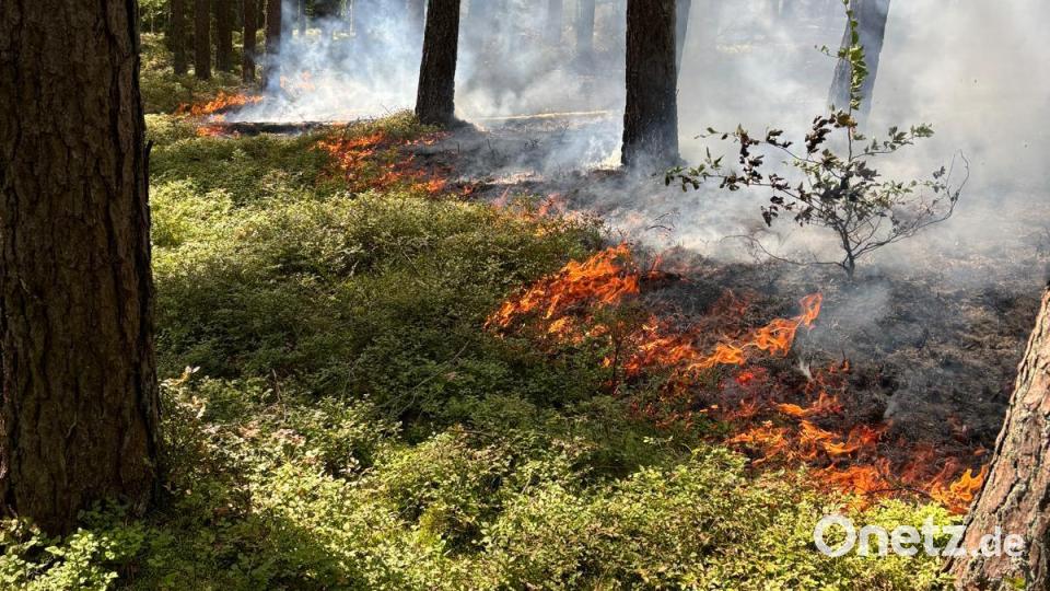Auf einer Waldkuppe zwischen Unterauerbach und Altendorf ist auf einer Fläche von rund 10.000 bis 15.000 Quadratmetern ein Feuer ausgebrochen Bild: ga