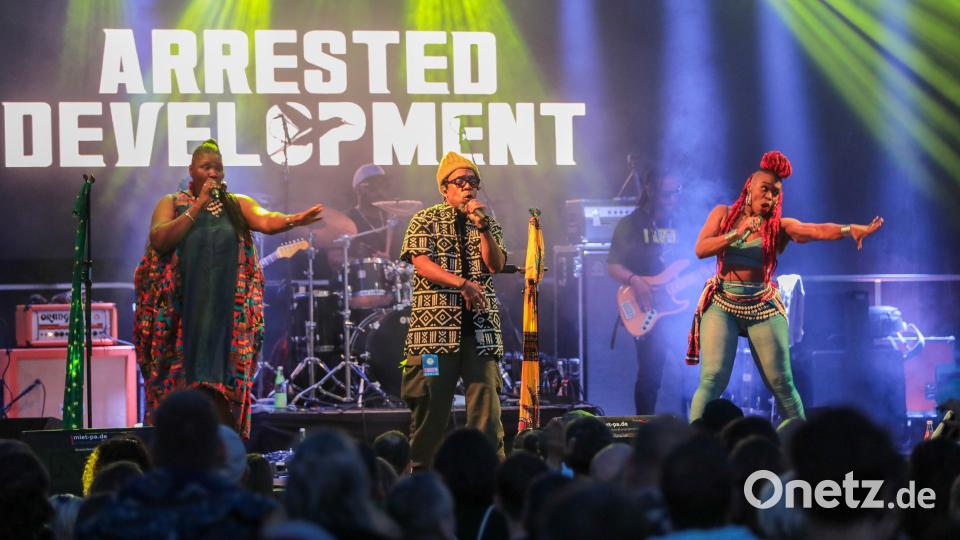 Top Act beim &quot;Sommer in der Stadt&quot;: Arrested Develompment machten hier am Freitag Station auf ihrer Europa-Tournee. Bild: Wolfgang Steinbacher