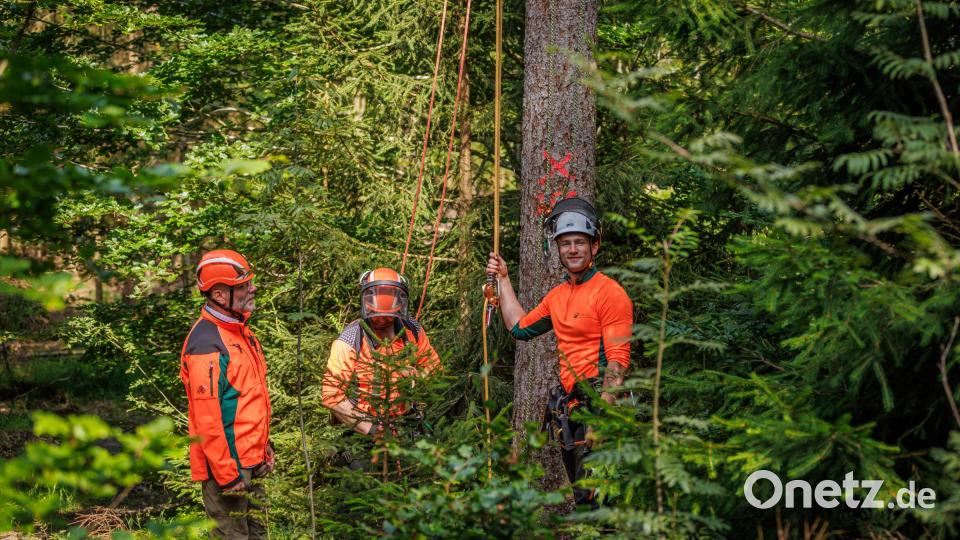 Florian Manske, Servicestellenleiter beim Forstbetrieb Fichtelberg, bei der Abschlussbesprechung mit den Forstwirten Alois Krockauer und Janis Schemm (von links) nach einem Training der Höhenretter. Bild: Martin Hertel/Forstbetrieb Fichtelberg/exb