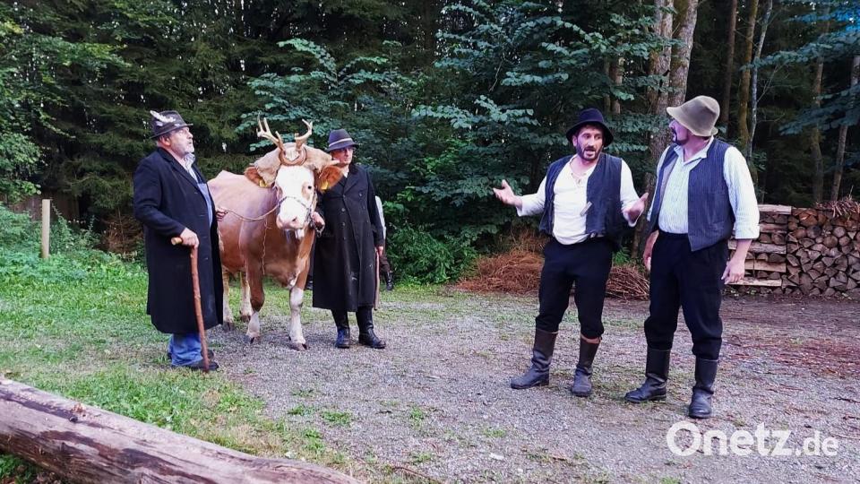 Handelsobjekt mit den böhmischen Schmugglern ist eine Jungkuh mit aufgebundenem Hirschgeweih. Bild: lg