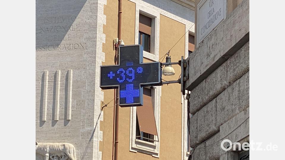 39 Grad bei der Papstaudienz. Bild: Uli Piehler