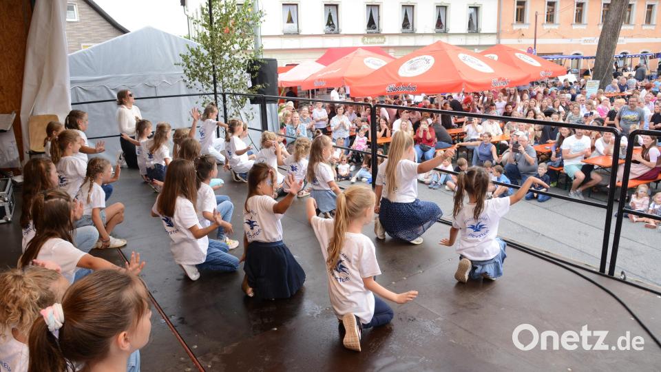 Die &quot;Bambinis&quot; der Pleysteiner Prinzengarde sorgen für eine Auflockerung des Programms. Bild: bey