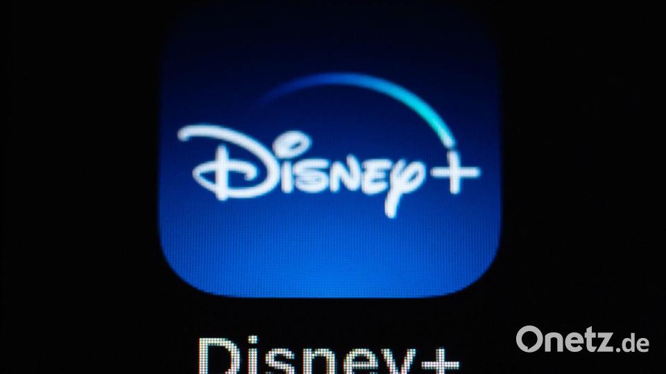 Netflix ging bereits erfolgreich gegen das Teilen von Passwörtern im Streaming vor - jetzt versucht es auch Disney. (Archivbild) Bild: Silas Stein/dpa