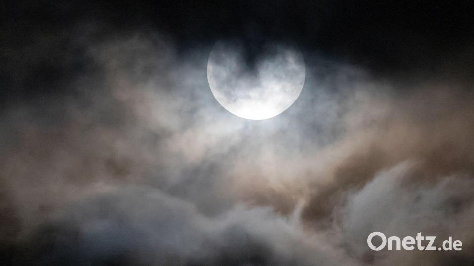 Schulträume gehören zu den Klassikern unter den Träumen - auch unter der Albträumen. (Archivbild) Bild: Bodo Marks/dpa