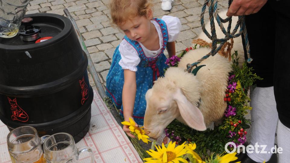 Kirwabätz Elfriede ließ sich von Freundin Lise mit der Fassl-Dekoration füttern. Bild: ge