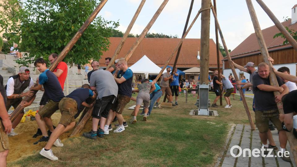 Mit dem Baumaufstellen auf dem Schlossbauernhof begann am Samstag die dreitägige Altfalterer Kirwa. Mit Muskelkraft und &quot;Schwalben&quot; stemmten die freiwilligen Helfer den 25 Meter langen Stamm nach oben. Bild: Hirsch