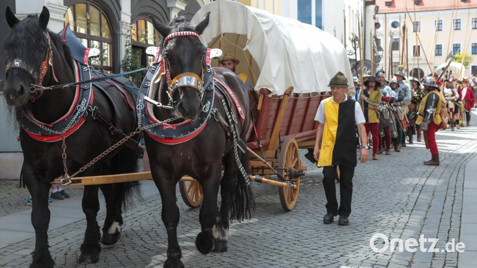 Amberger Brunnenfest. Der historische Festzug führte vom Malteserplatz durch die Fußgängerzone zum Marktplatz. Bild: Wolfgang Steinbacher