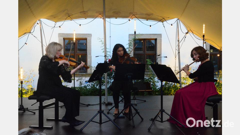 Das &quot;Arte Ensemble&quot; beim Konzert in Weiden. Bild: Kunz