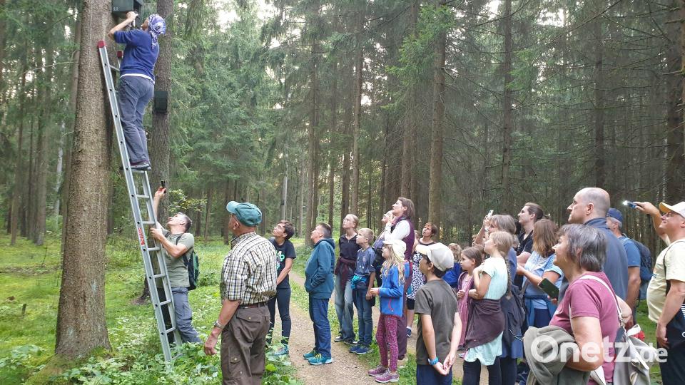 Unter den gespannten Blicken der Fledermausfreunde öffnet die Biologin Brigitte Schütze eine Fledermauskasten. Bild: Susanne Götte/exb
