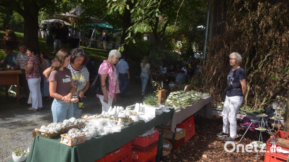 Interessiert schlenderten die Besucher durch den Regionalmarkt Bild: fz