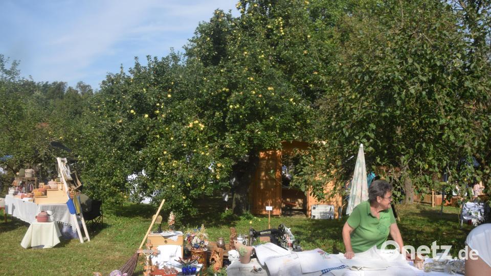 Dicht behangene Apfelbäume bilden die Kulisse beim Regionalmarkt am Streuobsttag. Bild: fz