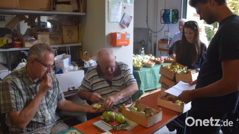Die Pomologen Michael Schanderl und Michael Altmann (sitzend von links) stellen 80 heimische Apfel und Birnensorten aus und bestimmen zugleich die von Besuchern mitgebrachten Äpfel aus deren Gärten. Bild: fz