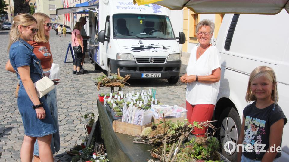 Marianne Patz (Zweite von rechts) verkaufte selbst gezüchtete Hauswurz. Sie war das erste Mal beim Ernte- und Herbstmarkt dabei. Bild: kro