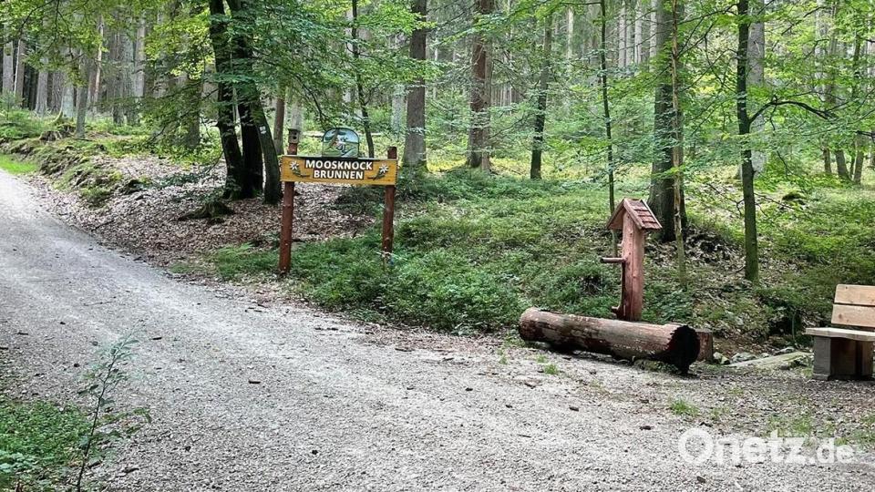 Die Gemeinde Mehlmeisel und die Bayerische Staatsforstverwaltung haben vor 50 Jahren den Moosknockbrunnen sowie dessen Umfeld anlegen lassen. Bild: Josef Wiche/exb
