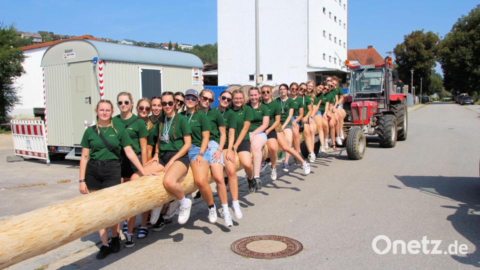 Beim Transport des Kirwabaums saßen die Moidln auf dem Baum (bjo) Bild: bjo
