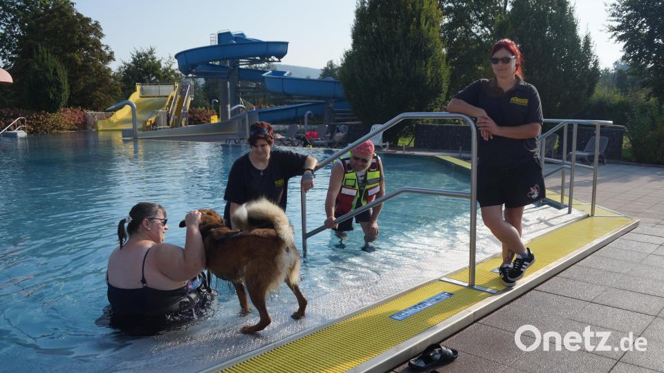 Tina Diewald, Peter Langer und Corinna Windschüttl (von rechts) von der Rettungshundestaffel der Feuerwehr Schwarzhofen führen beim ersten Hundebadetag Aufsicht. Hund &quot;Zassy&quot; machte mit Frauchen Anja Metzger erste Berührung mit dem Wasser. Bild: wel