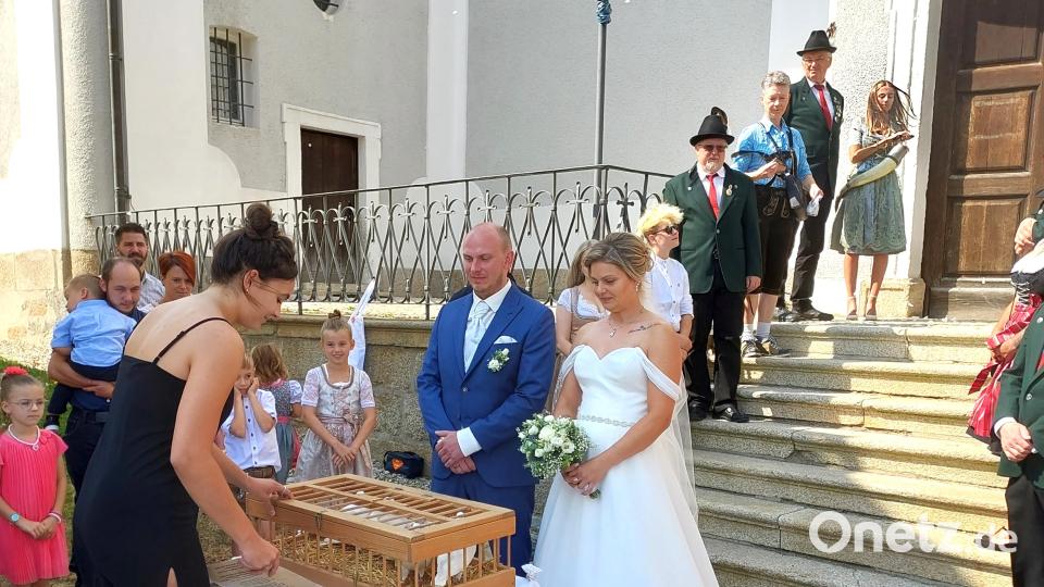 Weiße Tauben warteten geduldig auf ihre Heimreise, auf die sie Katharina und Philipp Hößl nach der Trauung schickten. Bild: Familie Hößl/exb