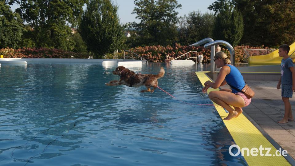 Melanie Kirchhammer und Sohn Jonas animieren Samy immer wieder, ins Wasser zu springen und das Stöckchen herauszuholen. Bild: wel