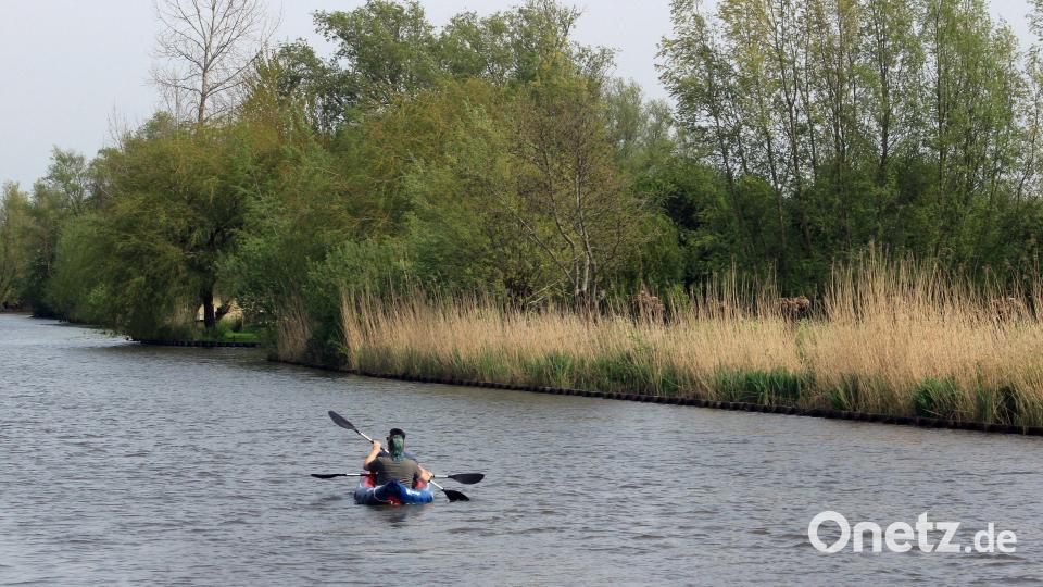 Ein Paddler beim Ort Rhenoy: Die etwas mehr als 100 Kilometer lange Linge ist der einzige Fluss, der ausschließlich durch die Niederlande fließt. Bild: Bernd F. Meier/dpa