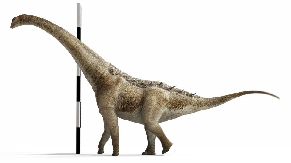 Menschen hätten dem in Spanien neu entdeckten Dinosaurier nicht einmal bis zur Schulter gereicht. Bild: Gbe-Uned/dpa