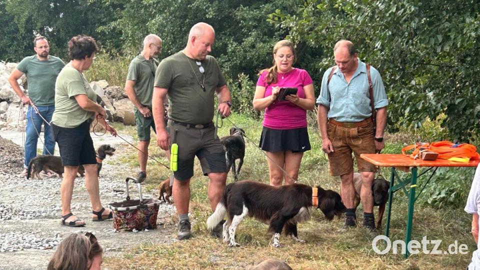 Bei der Jagdhundeschau in Schönsee zeigen die Hundeführer zum Beispiel die vielfältigen Jagdbereiche, in denen die Hunde verschiedener Rassen zum Einsatz kommen. Bild: Veronika Hofinger/exb