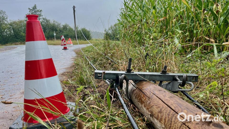 Ein Autofahrer rammt einen Telefonmast, das Auto kommt im Maisfeld zum stehen. Bild: Gabi Schönberger