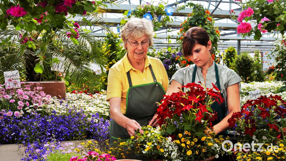 Wer jetzt eine Ausbildung beginnt, sollte auch über seinen Versicherungsschutz nachdenken. Symbolbild:  Ingo Bartussek – stock.adobe.com