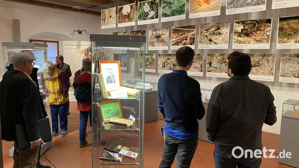 Vor dem offizielle Tagungsbeginn steht die Eröffnung der Ausstellung &quot;Ameisen - Faszinierende Insekten&quot; im Stadtmuseum Zehentstadel an. Bild: aub