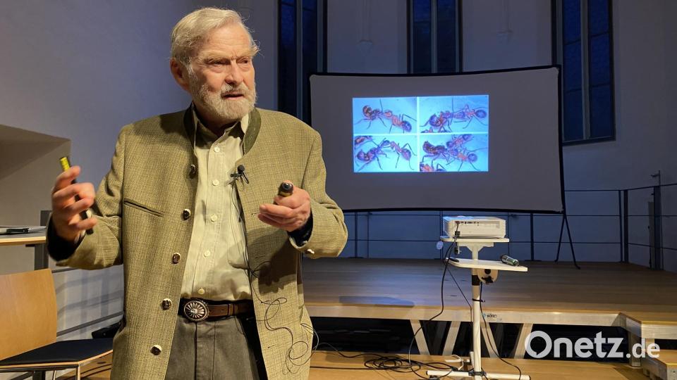 &quot;Die Gäste der Ameisen&quot; hatte Bert Hölldobler seinen Fachvortrag betitelt. Bild: aub