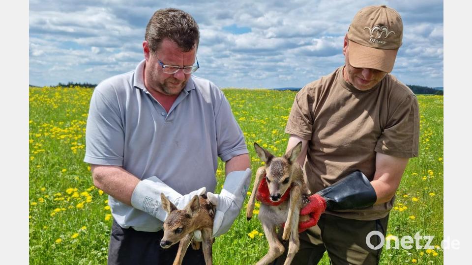 Die Arbeit als Kitzretter ist sehr kraftraubend. Aber die Freuden überwiegen. Besonders niedlich ist es immer, wenn Zwillinge gefunden werden, wie hier von den Kitzrettern aus dem Kemnather Land, Andreas Schiedlowsky und Herbert Tretter (von links) Bild: Tretter